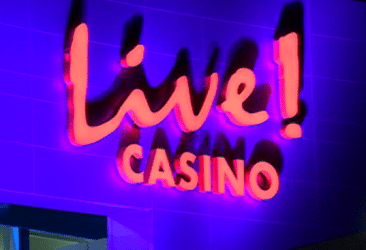 livecasinotext 366x250 - Best Casino Sites