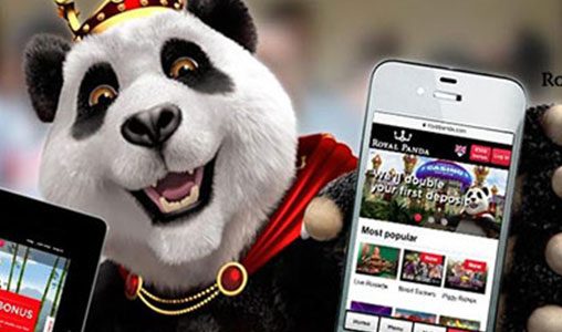 Royal Panda Promotions